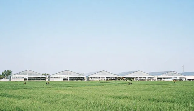 技术方案中的安装调试环节与后期维护建议